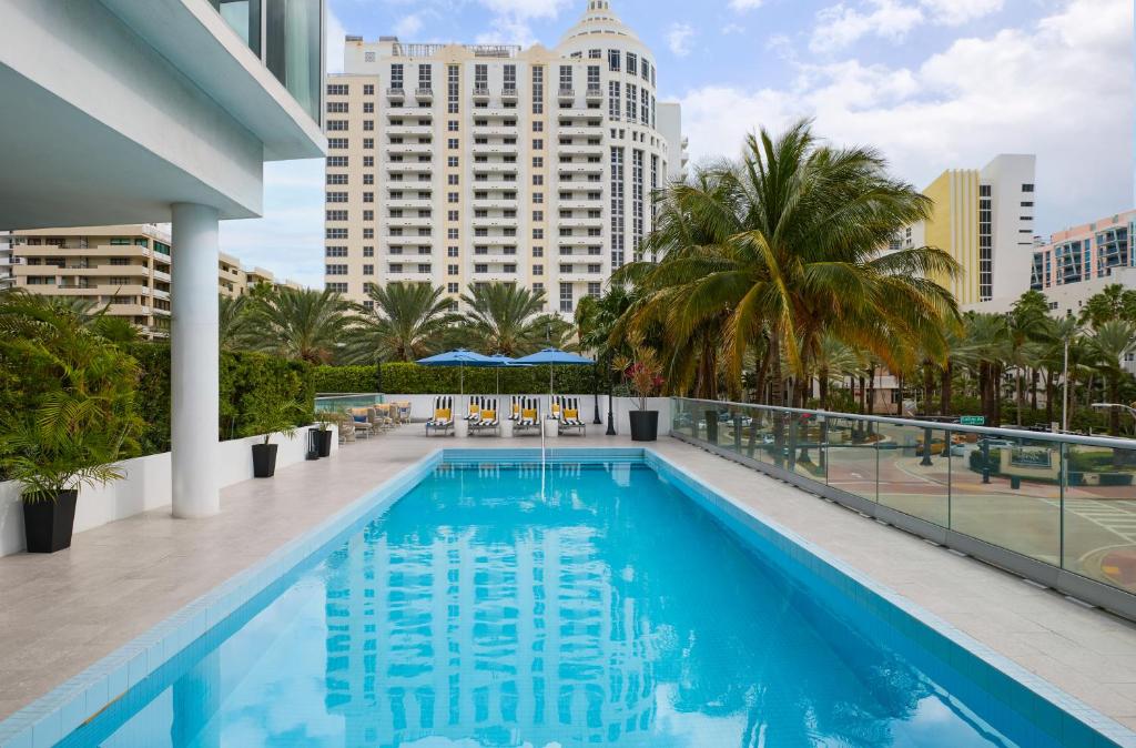Pool deck framed by palm trees at the Hyatt Centric South Beach